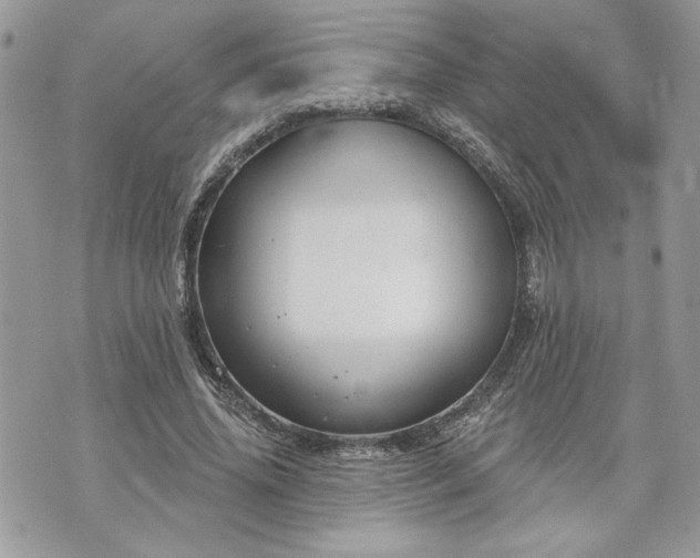 X0000070360636200606161252