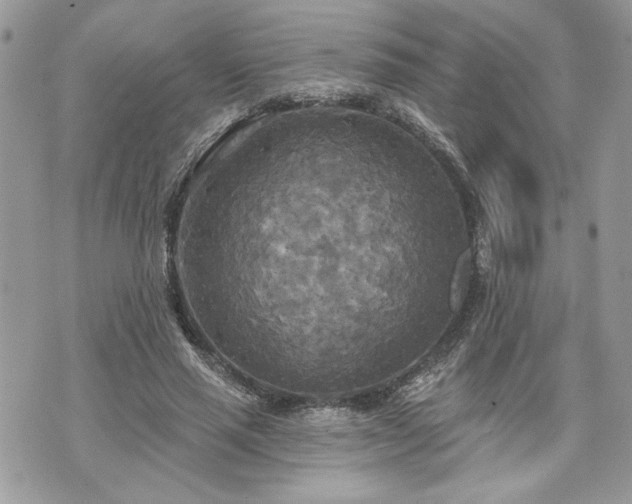 X0000070360637200606161252