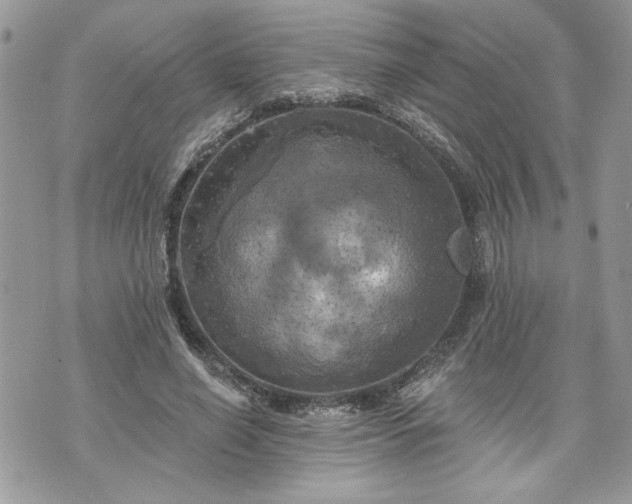 X0000070360638200606161252