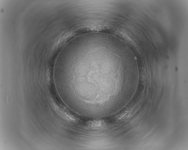 X0000070360639200606161252