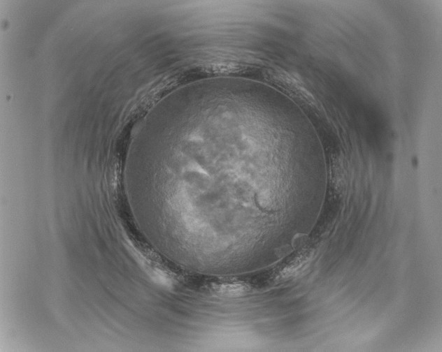 X0000070360645200606161253