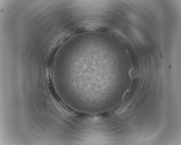 X0000070360646200606161253