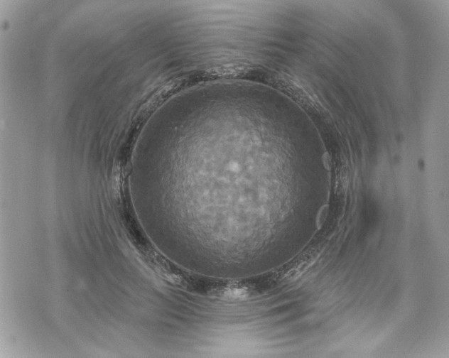 X0000070360647200606161253