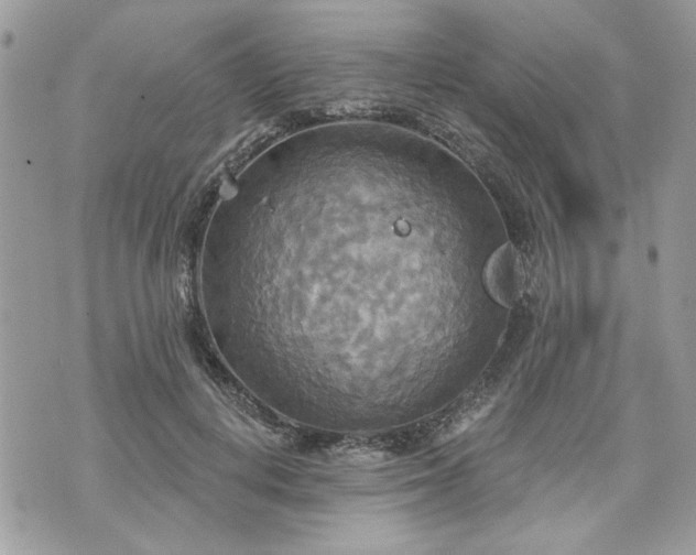 X0000070360648200606161253