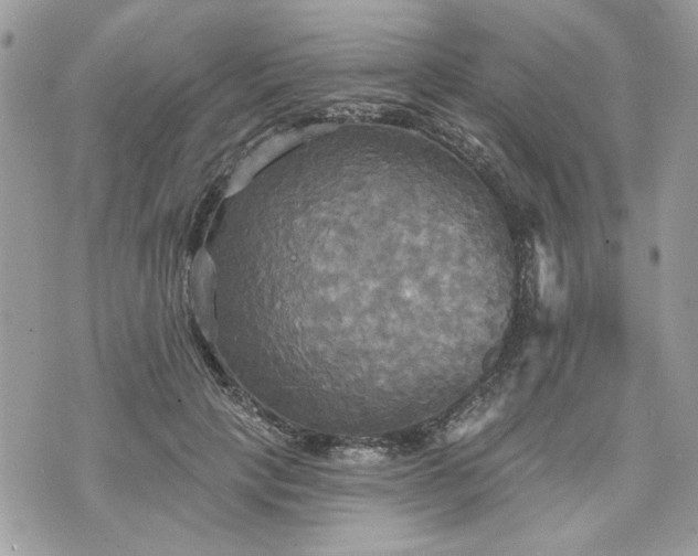 X0000070360649200606161253