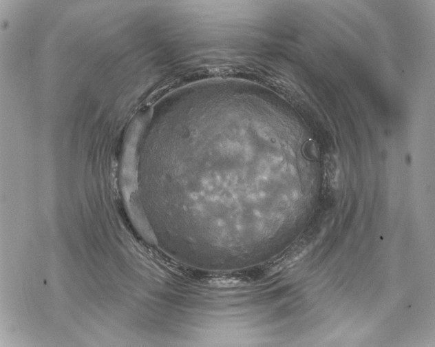 X0000070360650200606161253