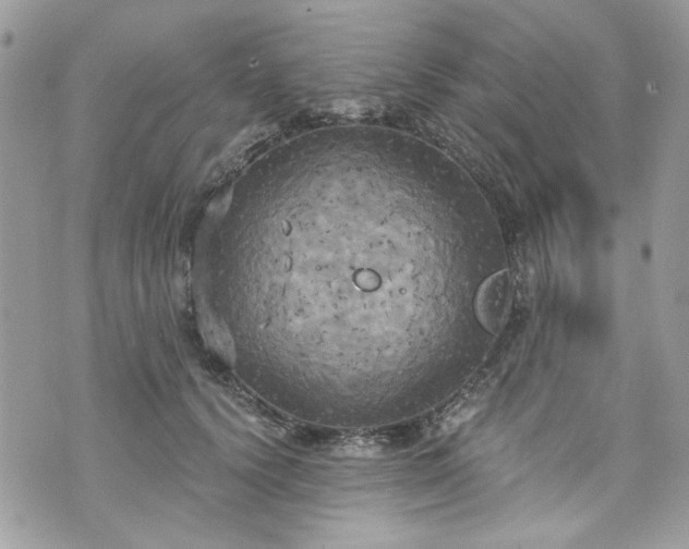 X0000070360656200606161253