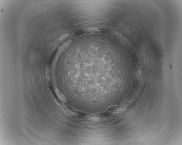 X0000070360658200606161253