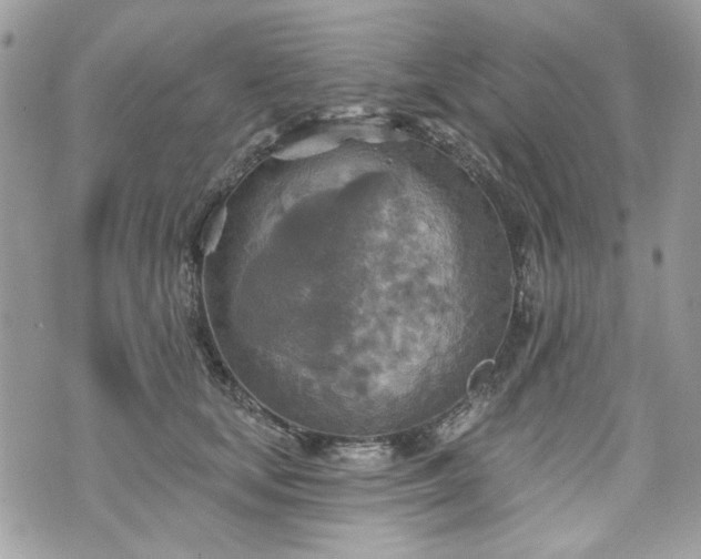 X0000070360659200606161253