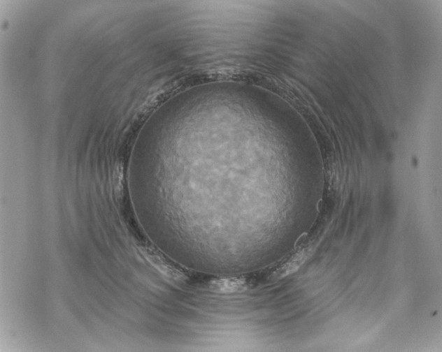 X0000070360660200606161253