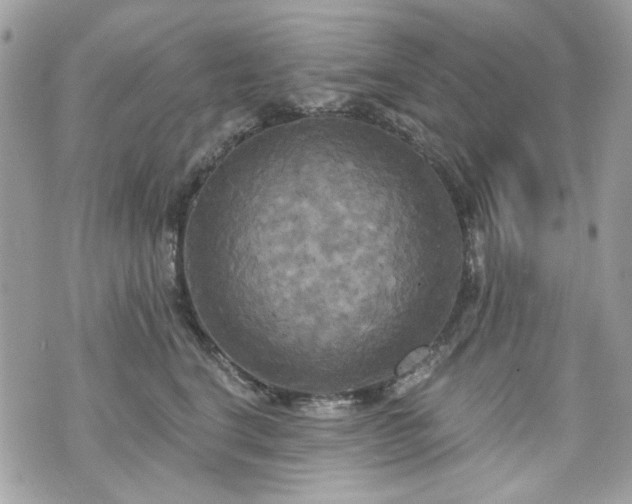 X0000070360664200606161253