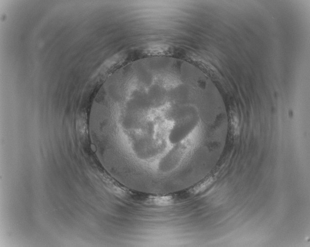 X0000070360665200606161253