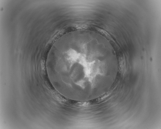 X0000070360667200606161253