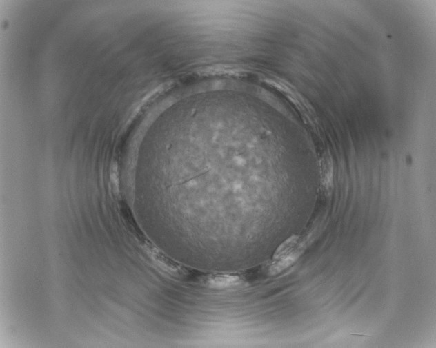 X0000070360669200606161253