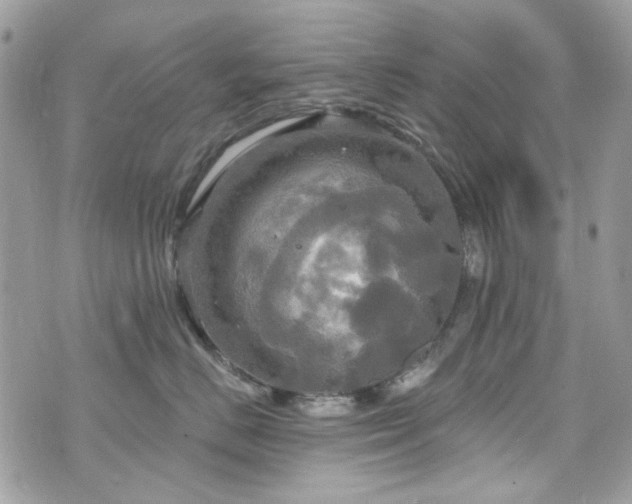 X0000070360670200606161253