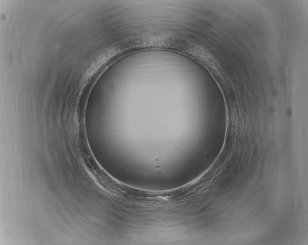 X0000070360674200606161252