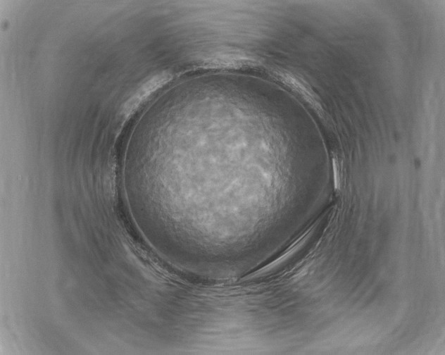 X0000070360675200606161252