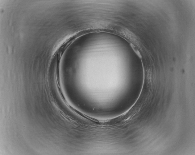 X0000070360676200606161252