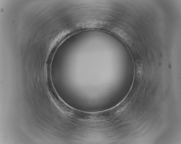 X0000070360678200606161252