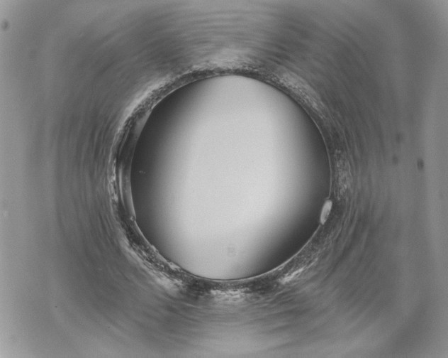 X0000070360680200606161252