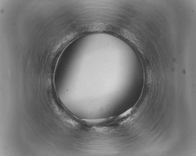 X0000070360681200606161252