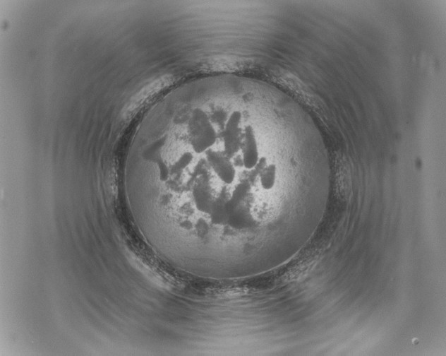 X0000070360683200606161252