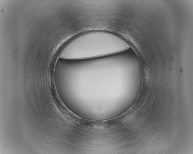 X0000070360684200606161252