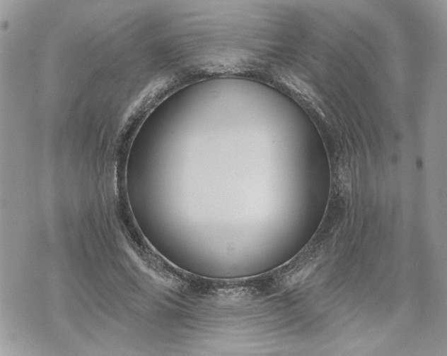 X0000070360686200606161252