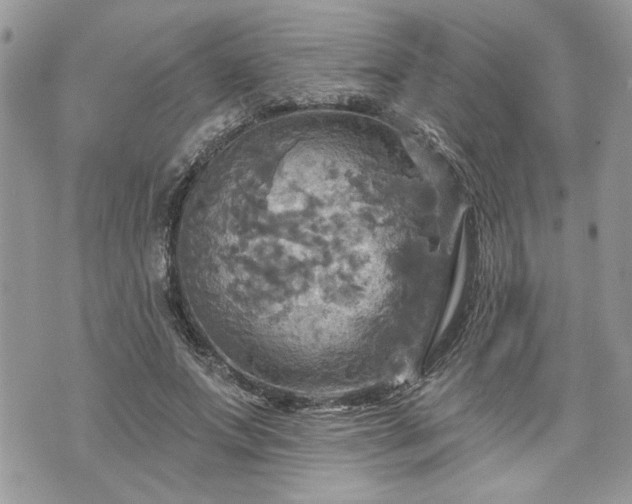 X0000070360687200606161252