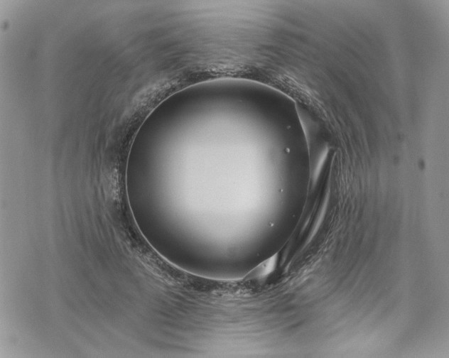 X0000070360689200606161252