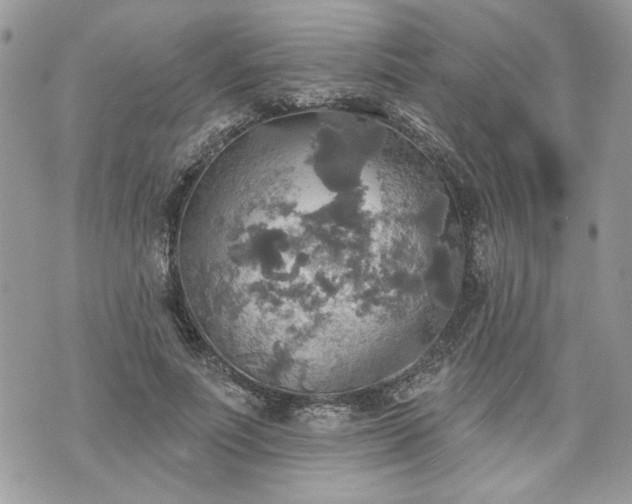 X0000070360691200606161252