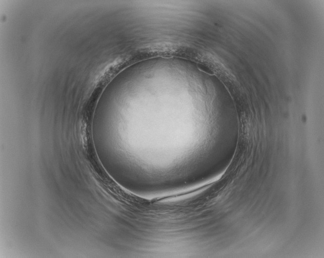 X0000070360692200606161252