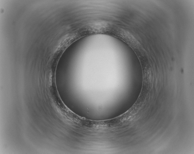 X0000070360694200606161252