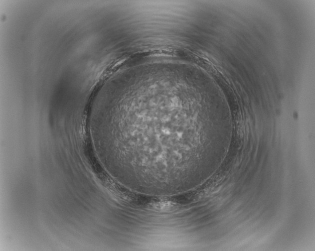 X0000070360695200606161252