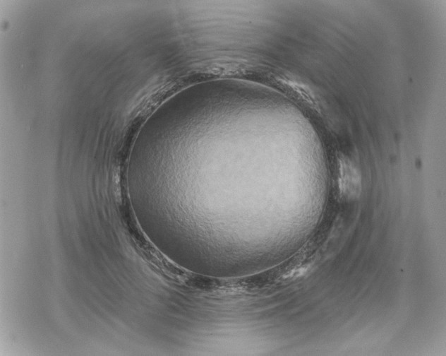 X0000070360696200606161252