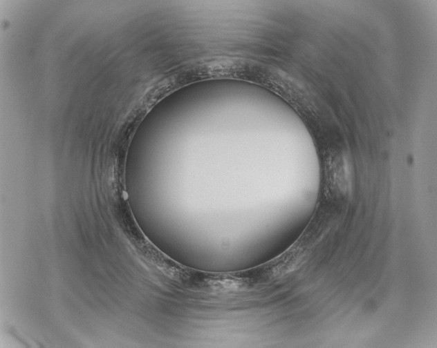 X0000070360698200606161252