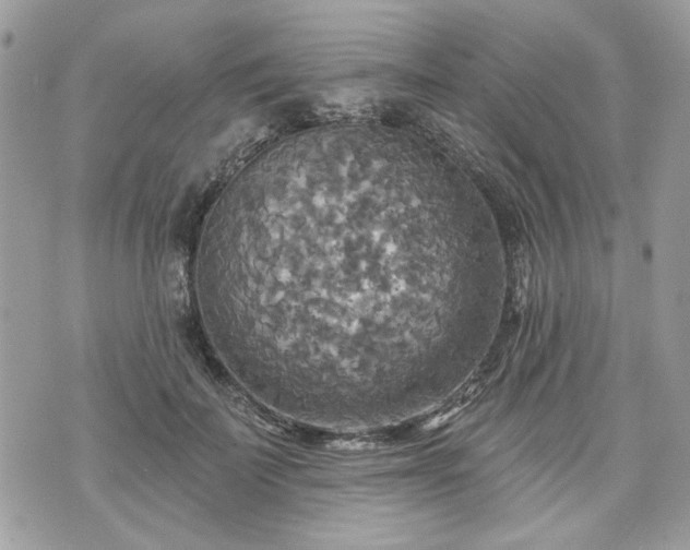 X0000070360699200606161252