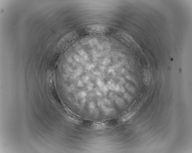 X0000070360701200606161252