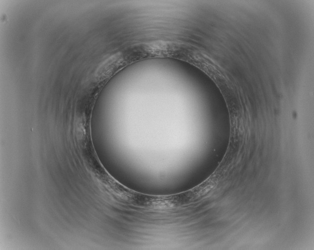 X0000070360702200606161252