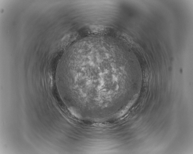 X0000070360703200606161252