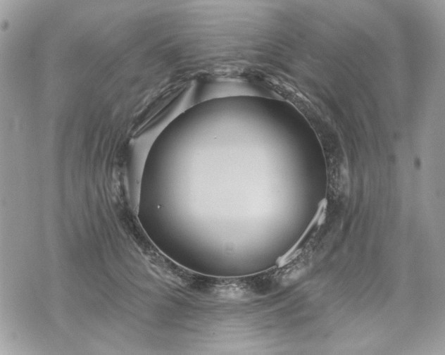 X0000070360704200606161252