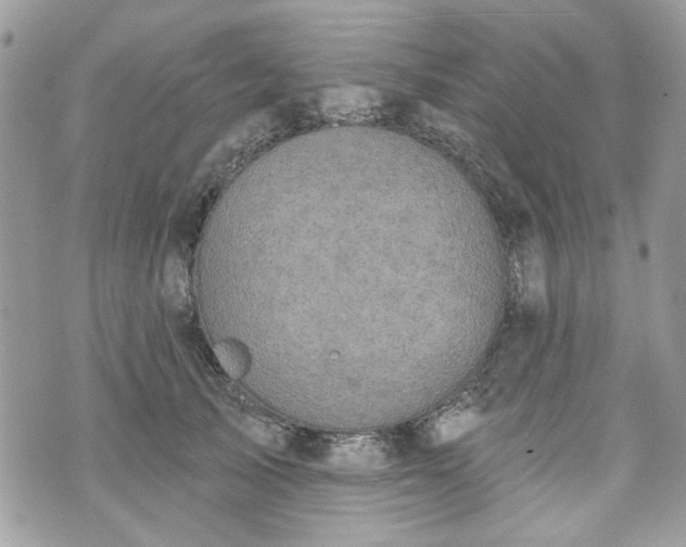 X0000070360705200606161252