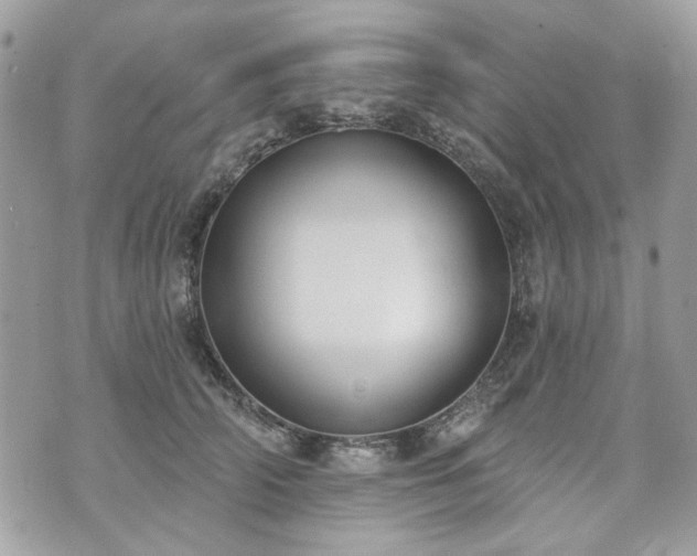 X0000070360706200606161252