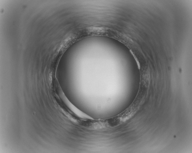 X0000070360708200606161252