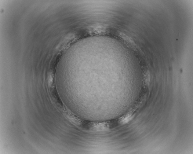 X0000070360709200606161252