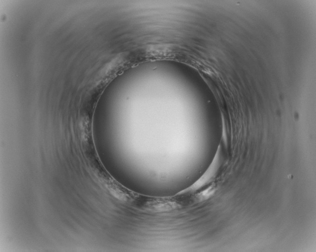 X0000070360712200606161252