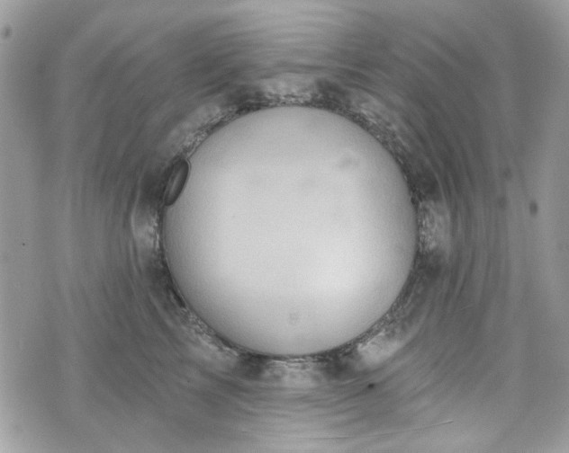 X0000070360713200606161252