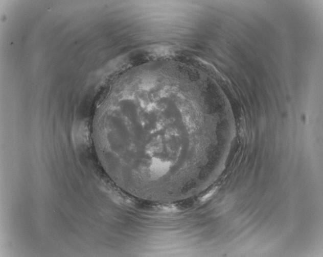 X0000070360715200606161251