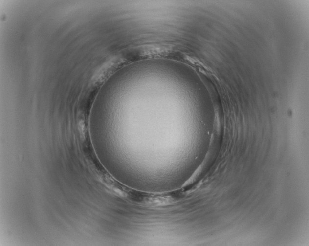 X0000070360716200606161251