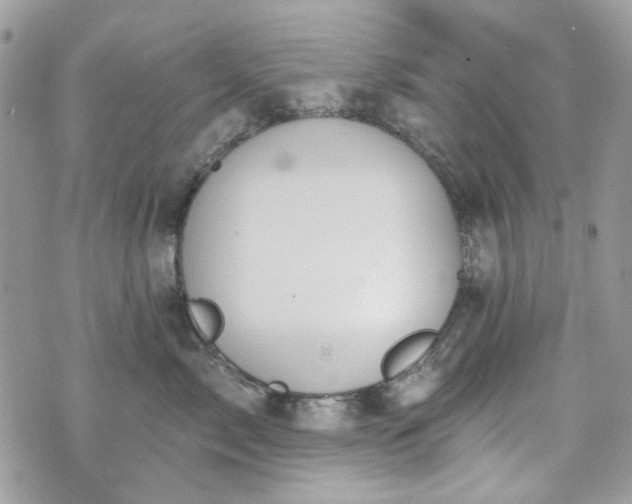 X0000070360717200606161251